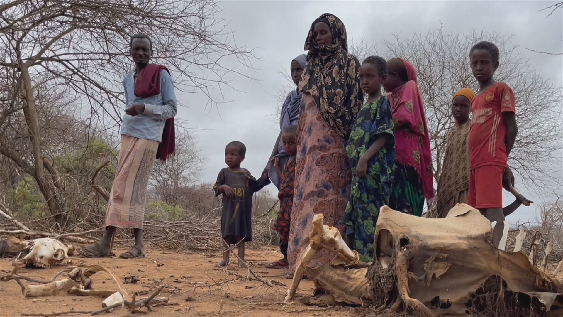 20230331151024_afrika-lehortea_