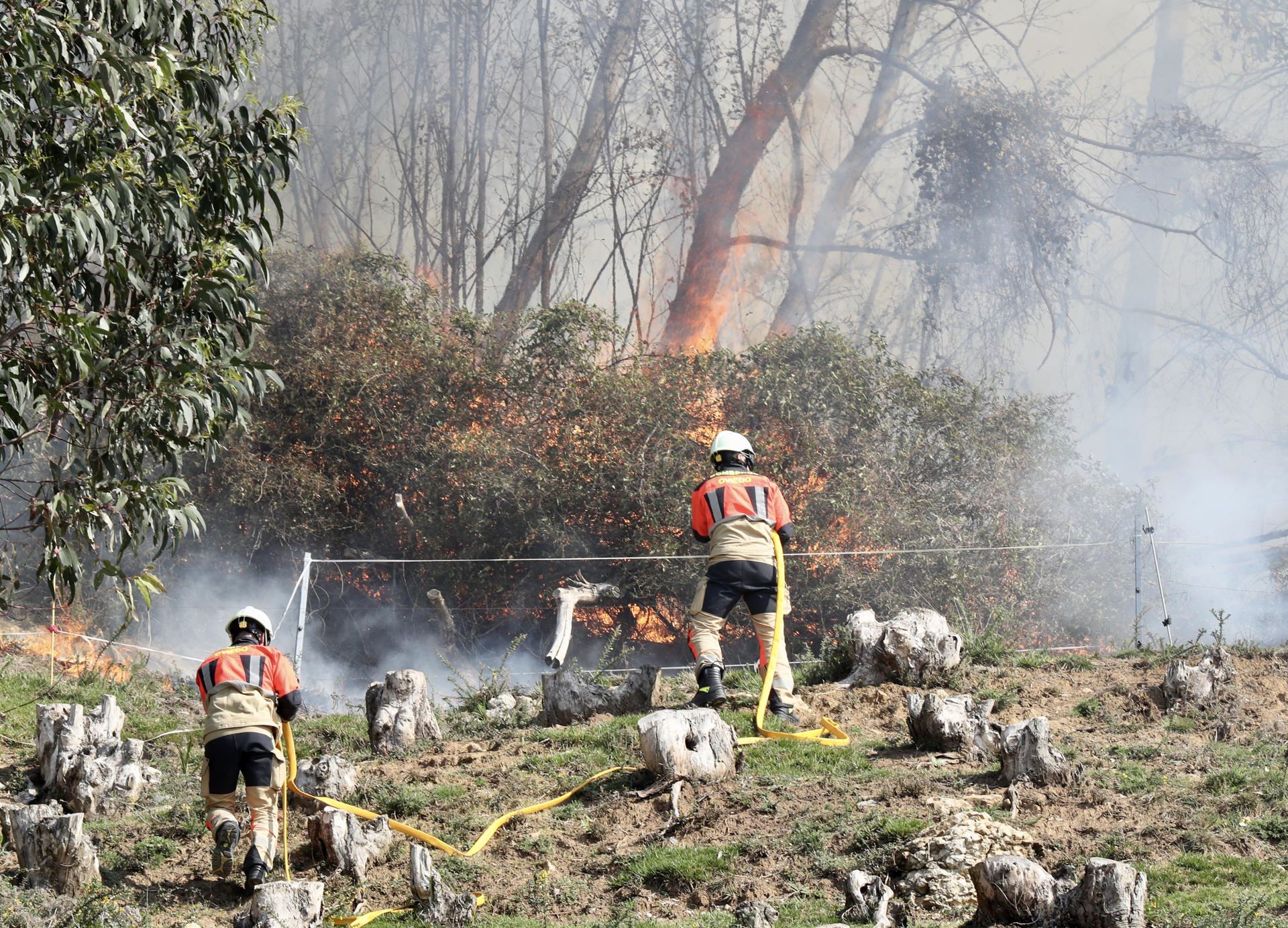 Oviedo-incendio-Asturias-efe
