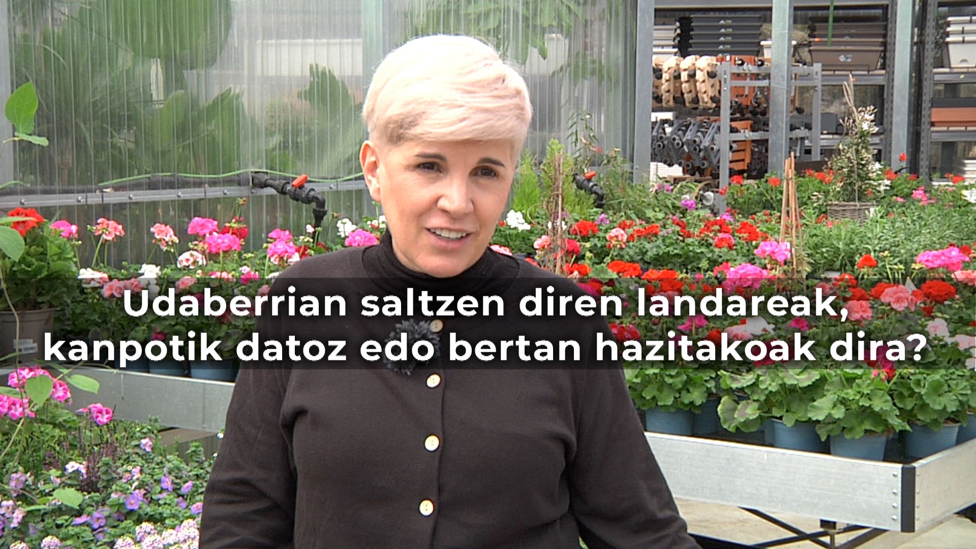 Loli Sein, Aduna Garden, udaberria, landeak, haztegiak