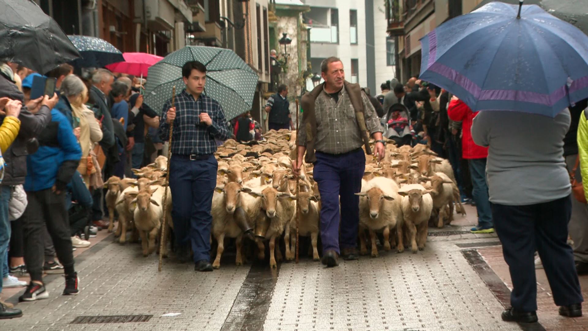20230412135535_ovejas-en-calles-de-ordizia-en-feria-de-artzain-eguna_