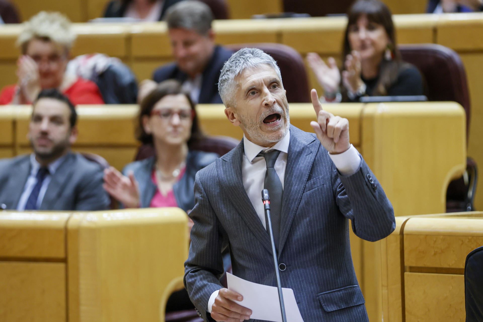 Marlaska-efe_Senado