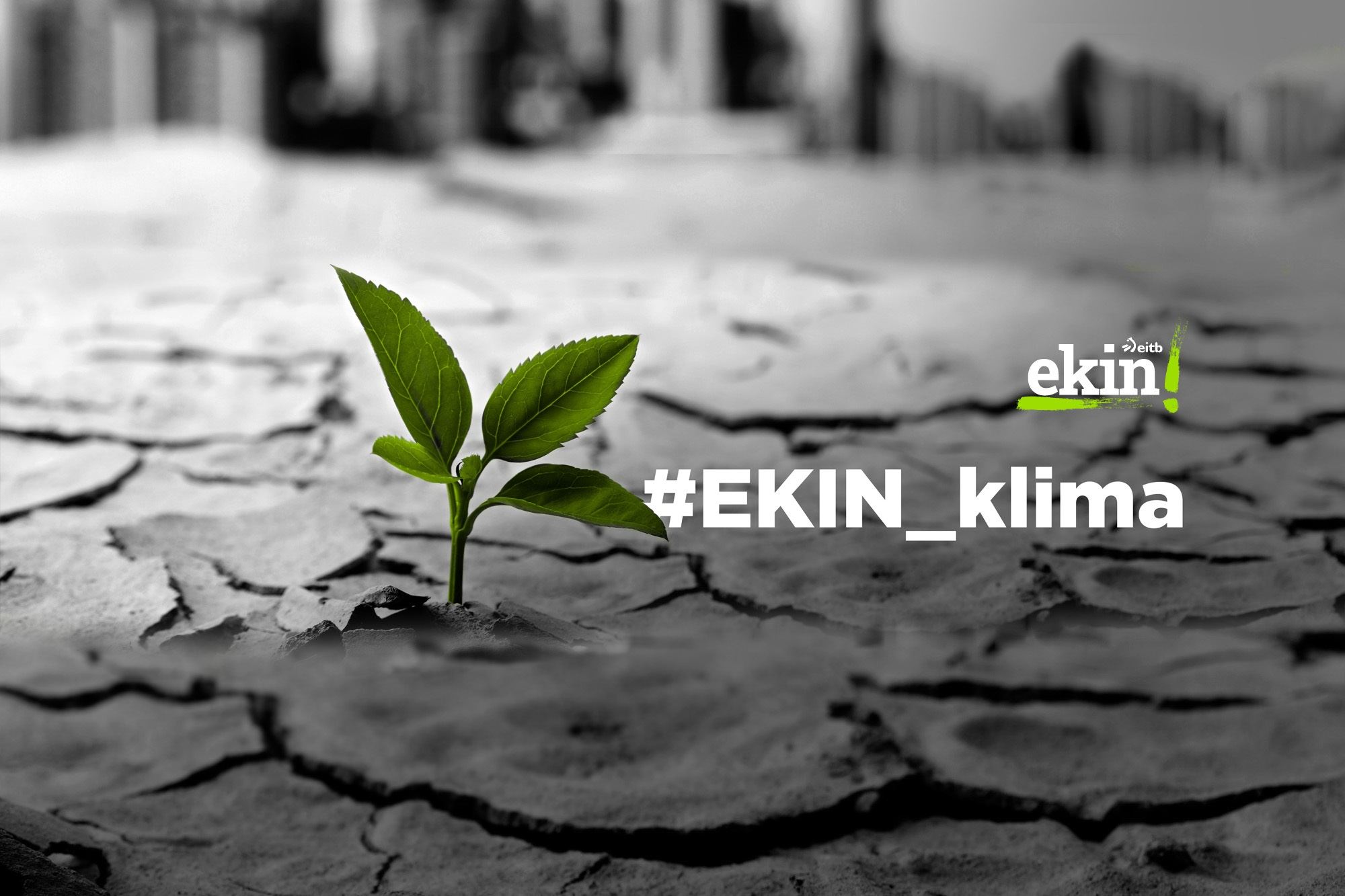 EKIN KLIMA 2023