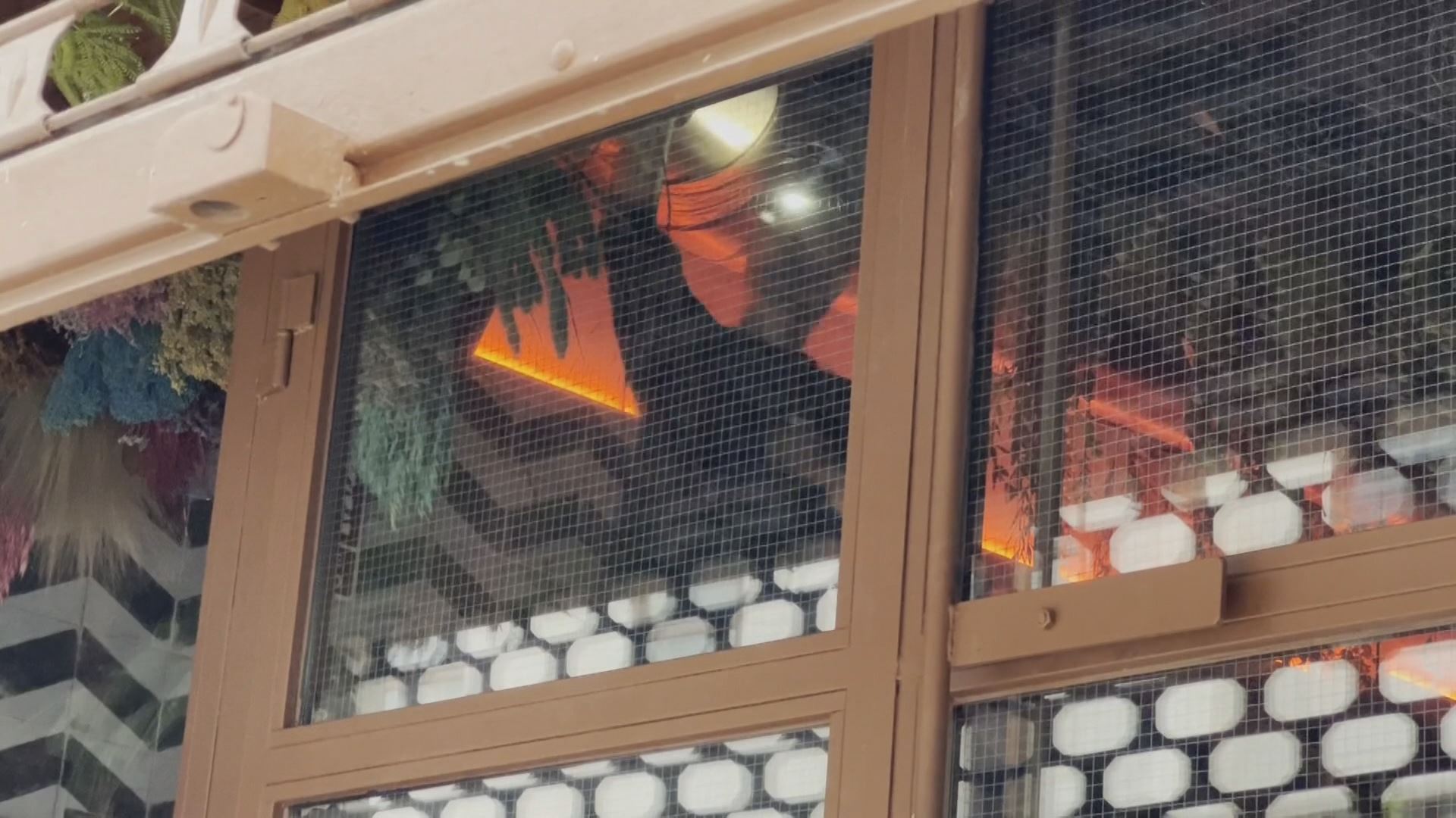 20230425113455_burro-canaglia-bilbo_