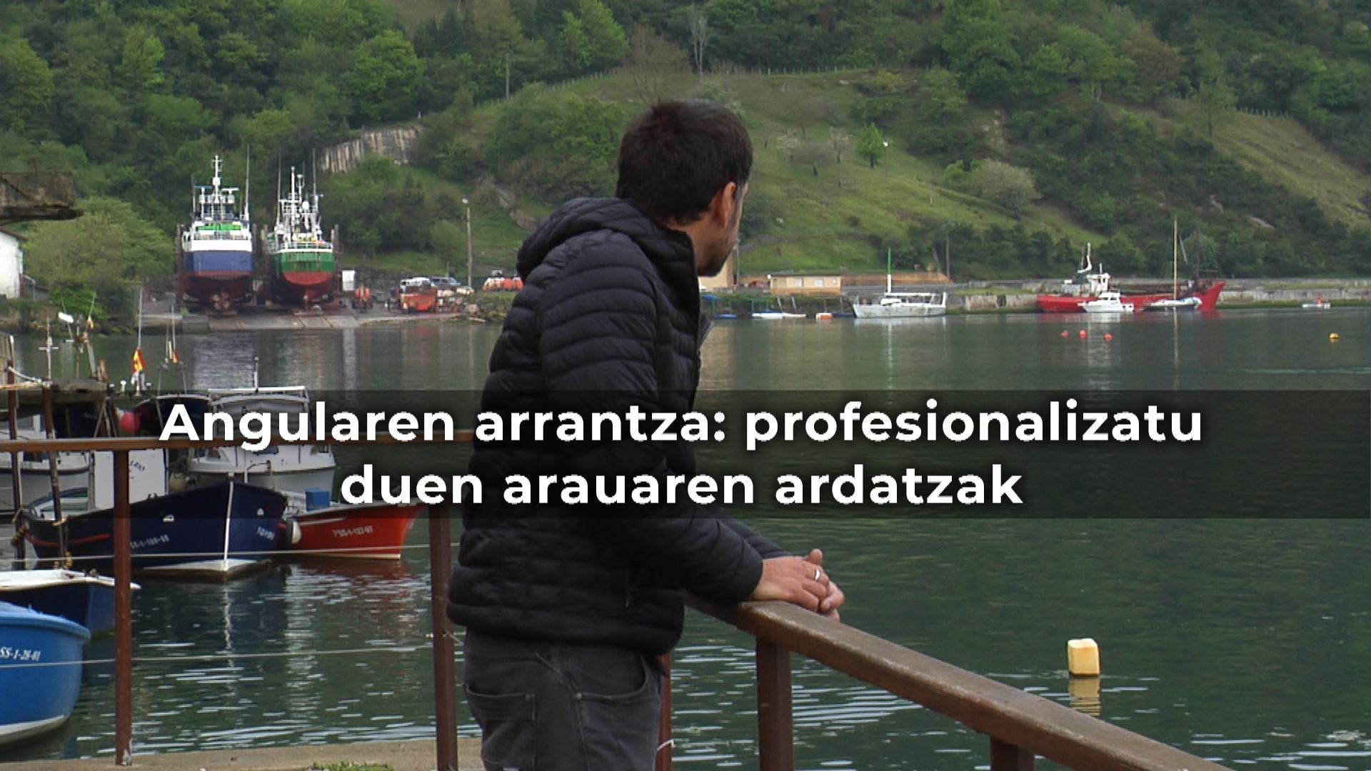 20230426113349_angularen-arrantzaren-dekretuaren-ardatzak_