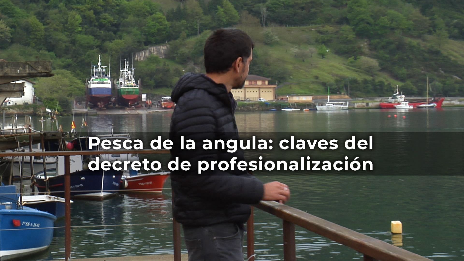 20230426123129_pesca-de-angula-claves-de-nueva-norma_
