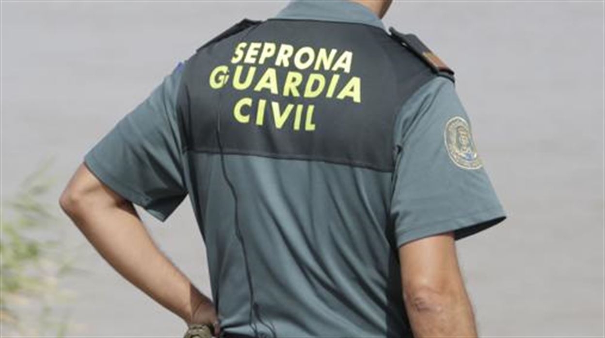 Una perra salva la vida gracias al boca a boca de un agente de Seprepona