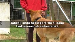 txakurra hezitzaile eu