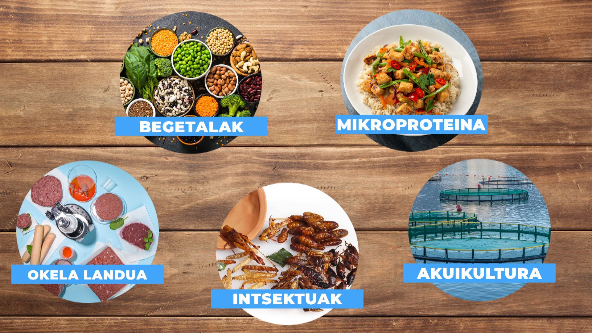 20230515105324_proteina-alternatiboak_
