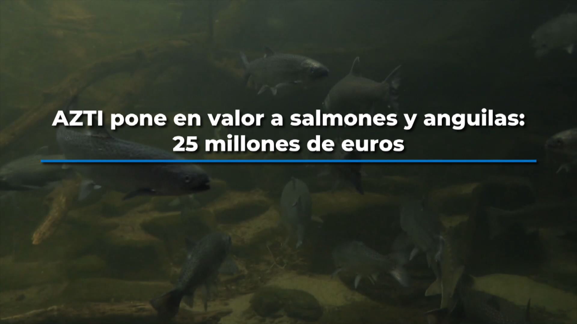 20230530164145_azti-salmones_