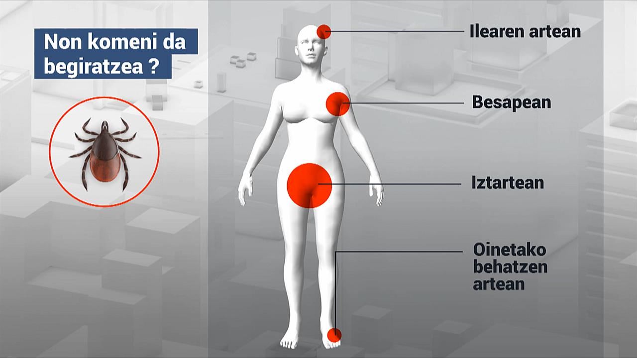 kaparrak gorputzean