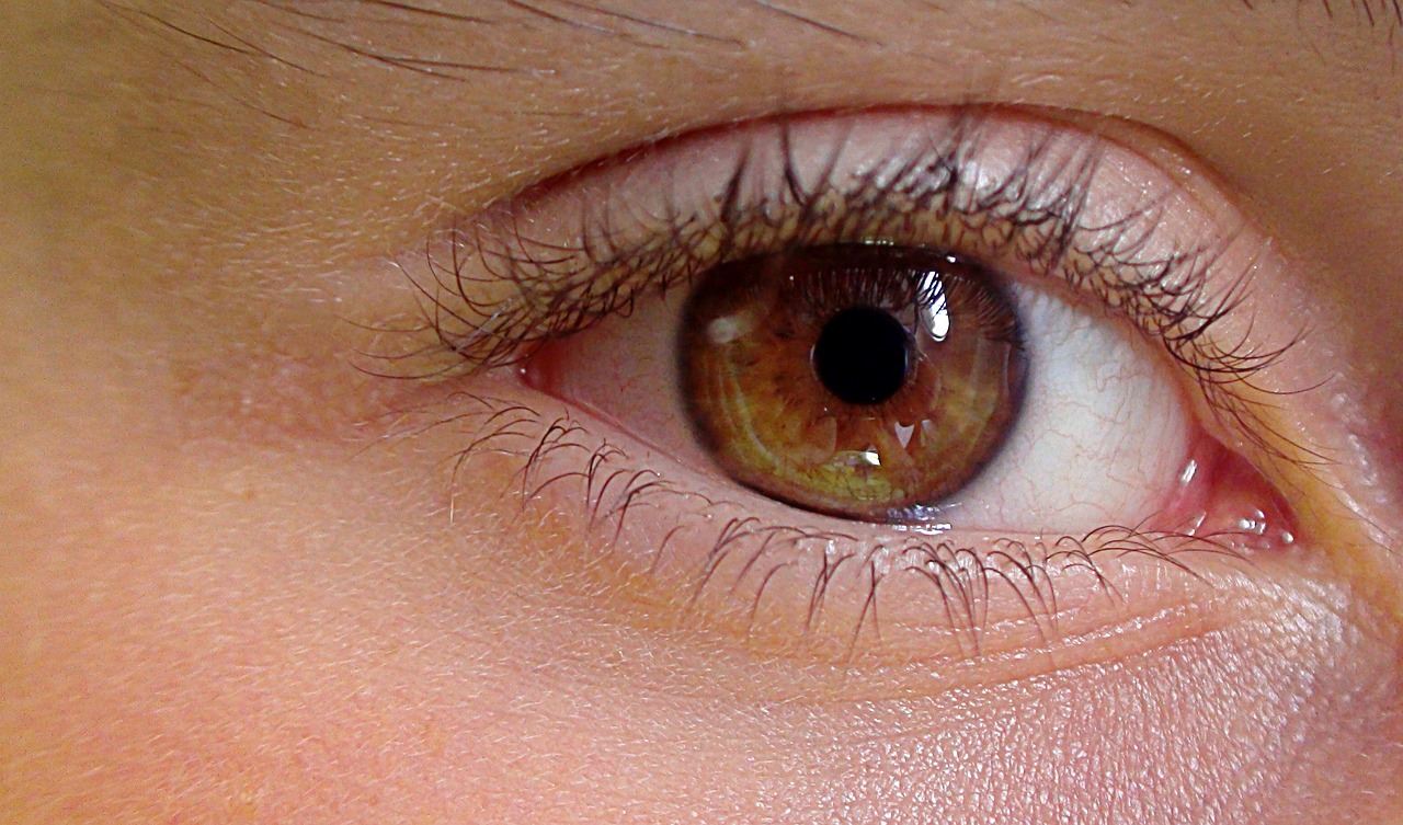 ojo humano