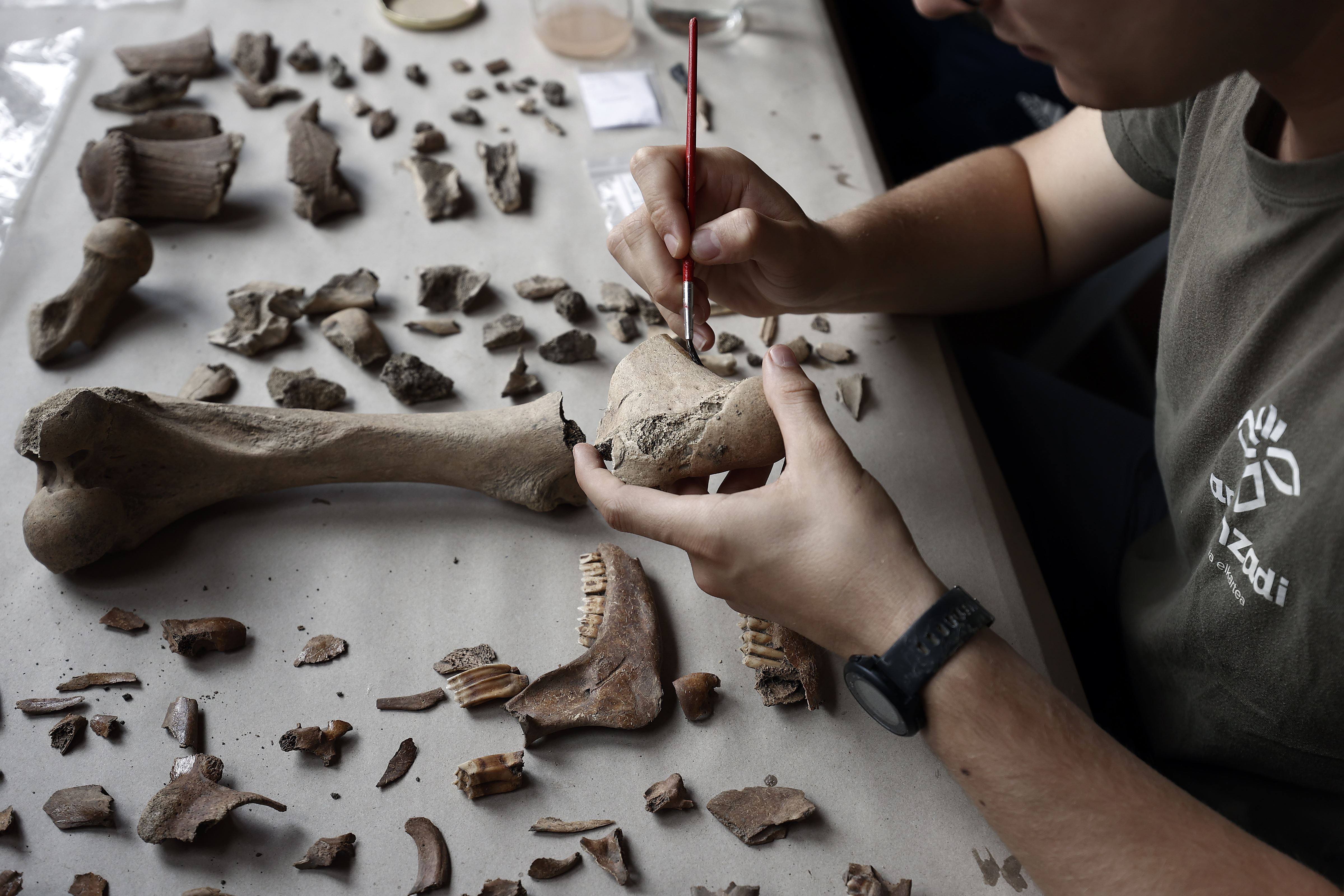 irulegi indusketa excavacion efe