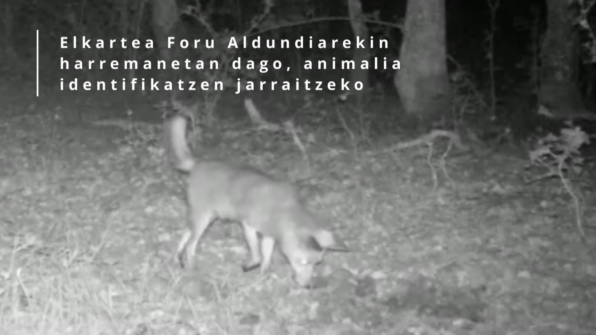 20230622190647_txakala_