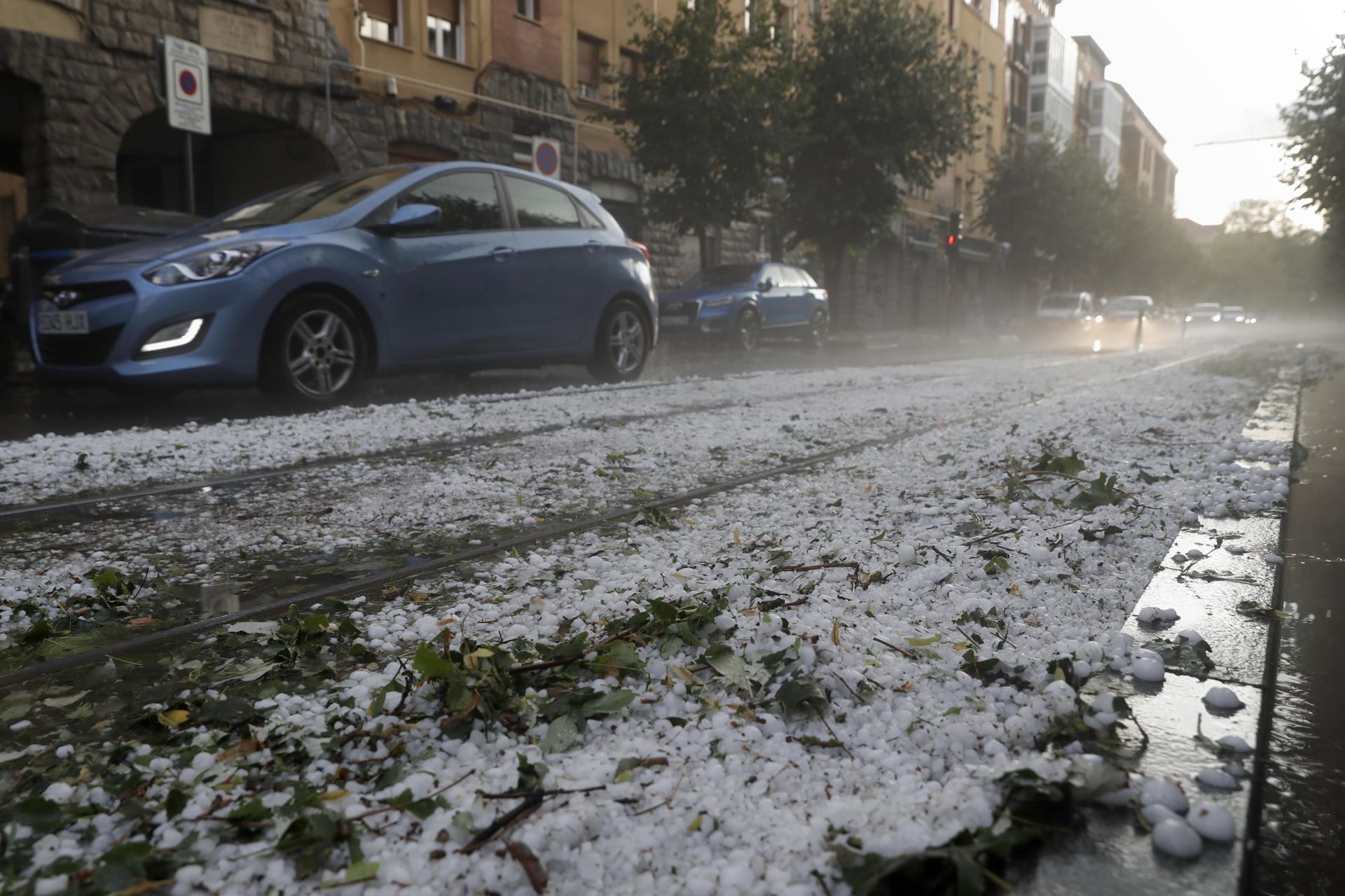 txingorra gasteizen uztailak 6 efe2