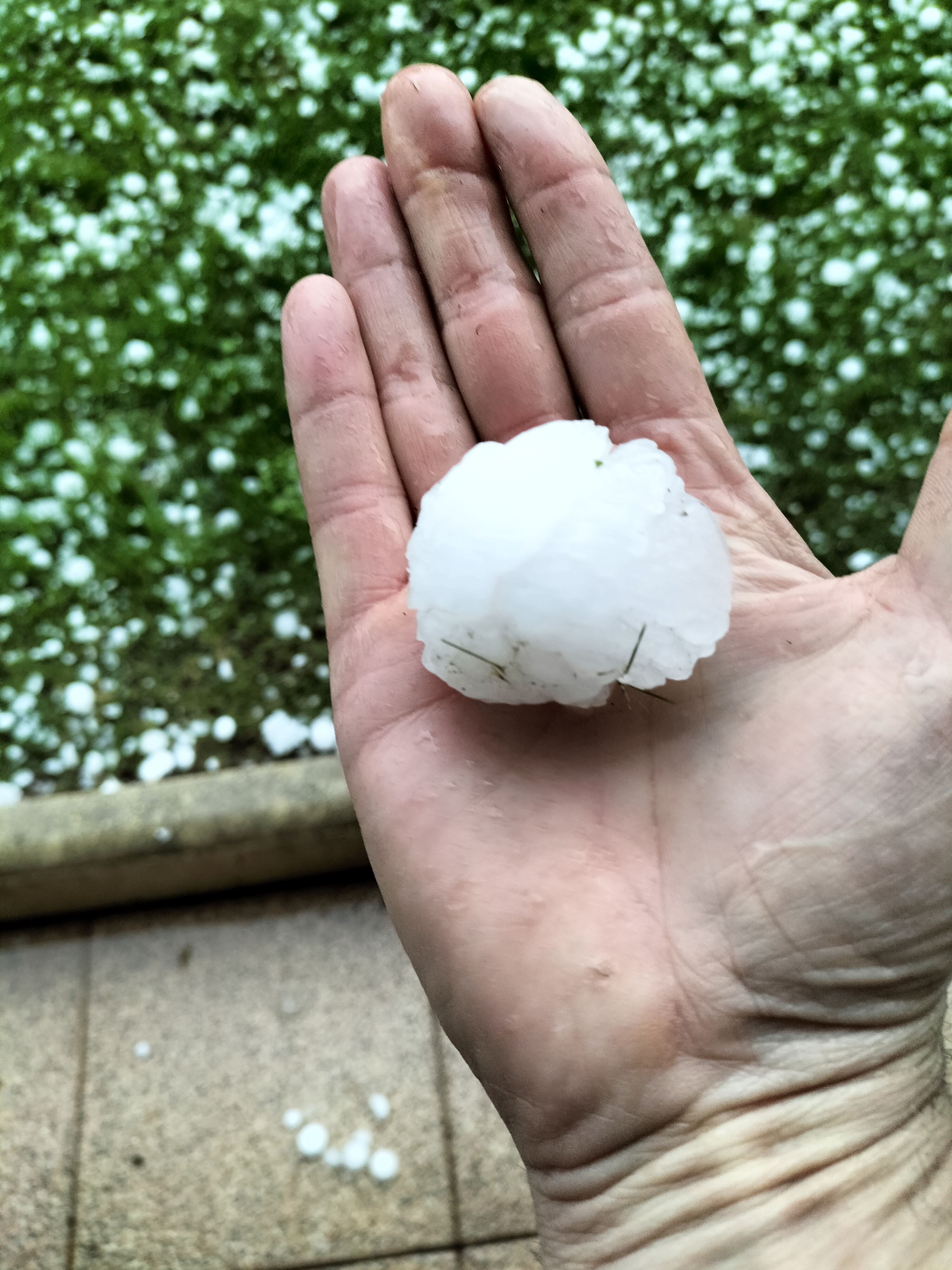 granizo txingorra vitoria gasteiz asier arregi