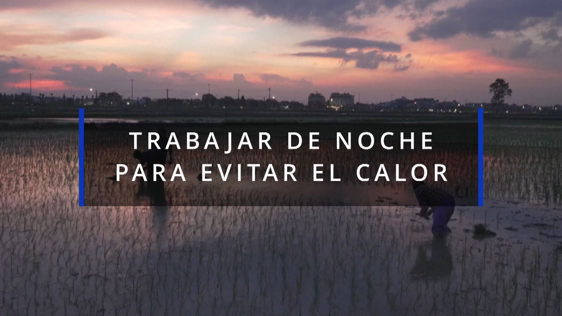 20230710115045_vietnam-agricultores-trabajan-de-noche-para-evitar-calor_