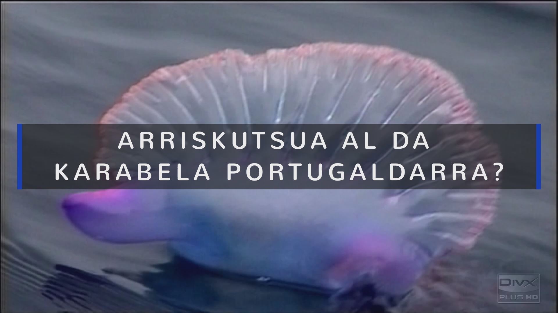 20230711160441_arriskutsua-al-da-karabela-portugaldarra_