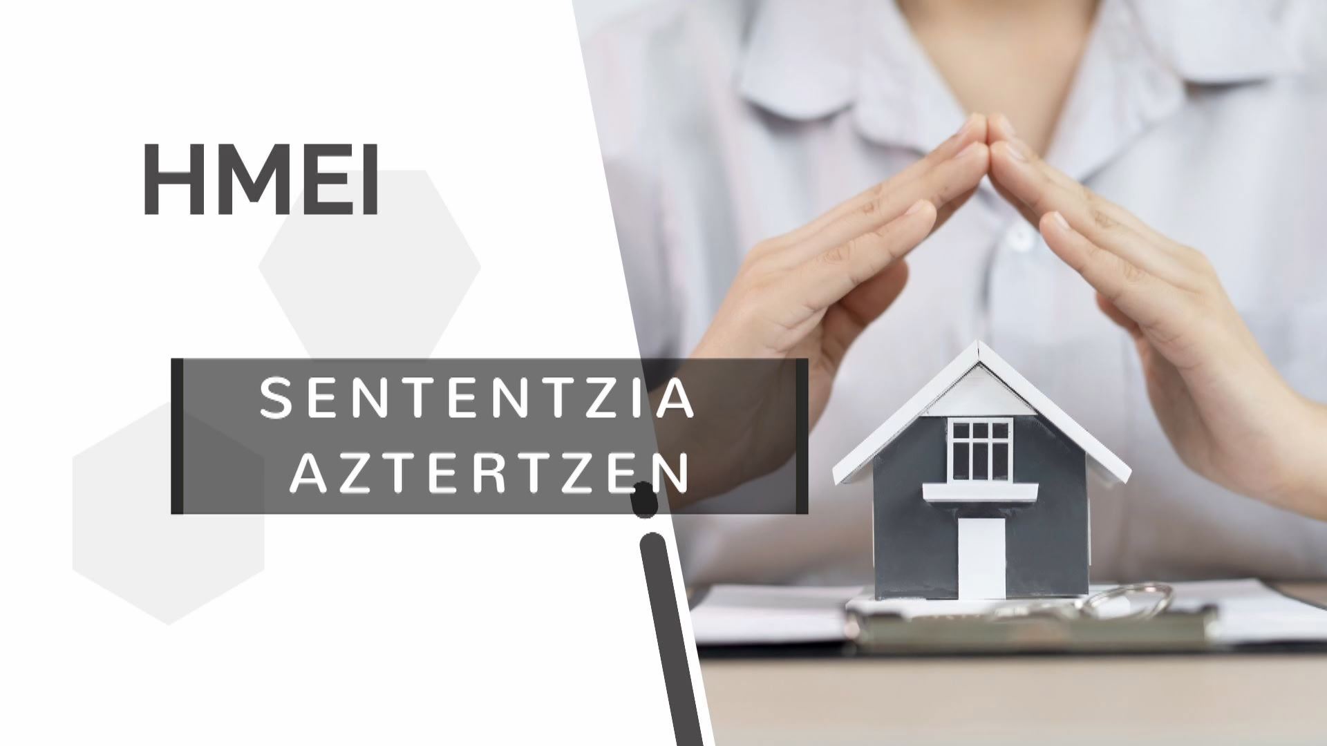 20230713164048_hmei-irph-sententzia-aztertzen_