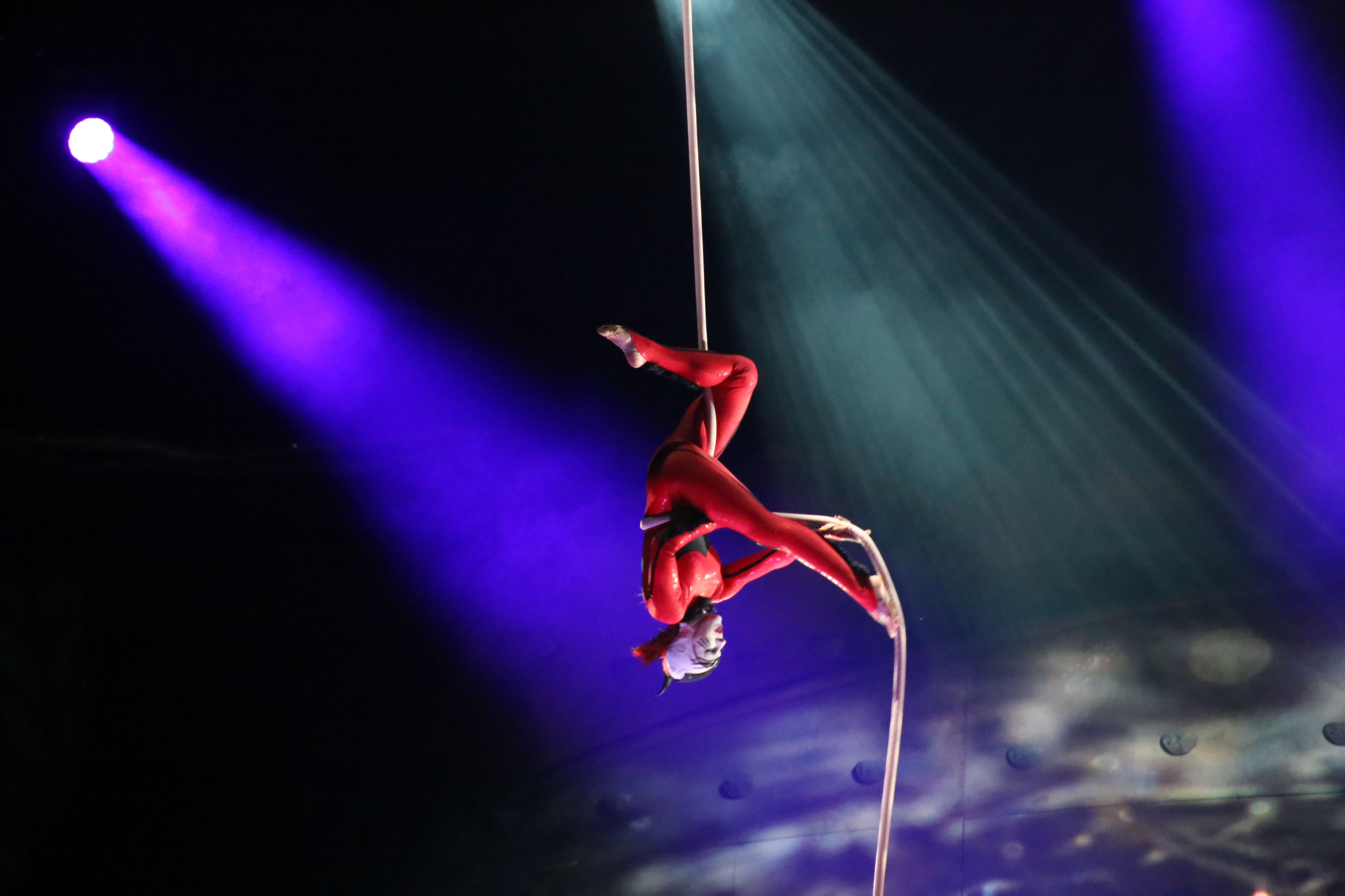 "Ovo" Cirque du Soleil Argazkiak: Pat Beaudry, Max Bocanegra, Randy Cremean & Vlad Lorenzo