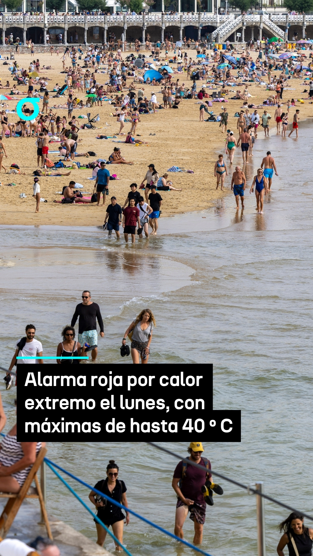 video feed poster