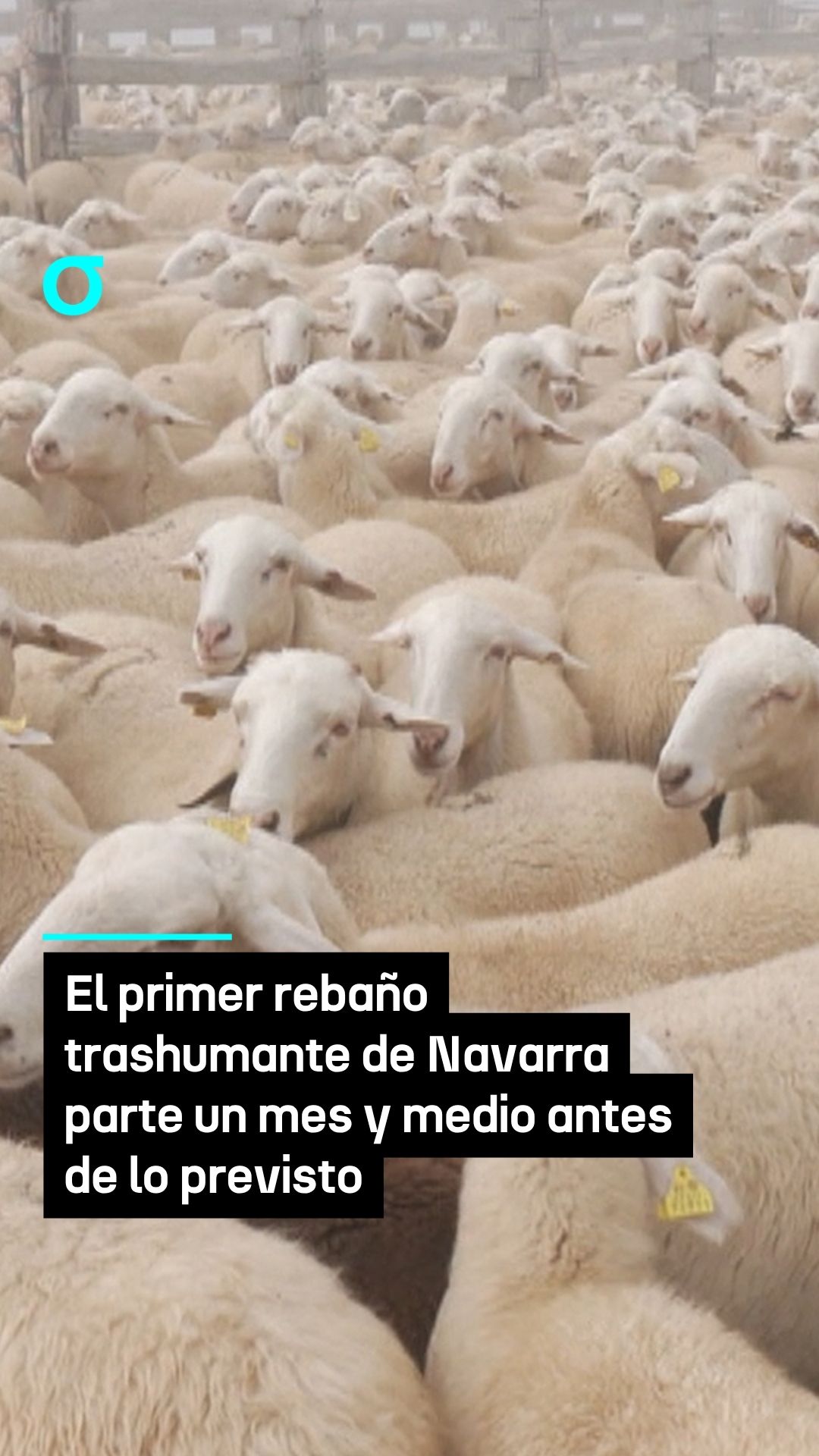 video feed poster
