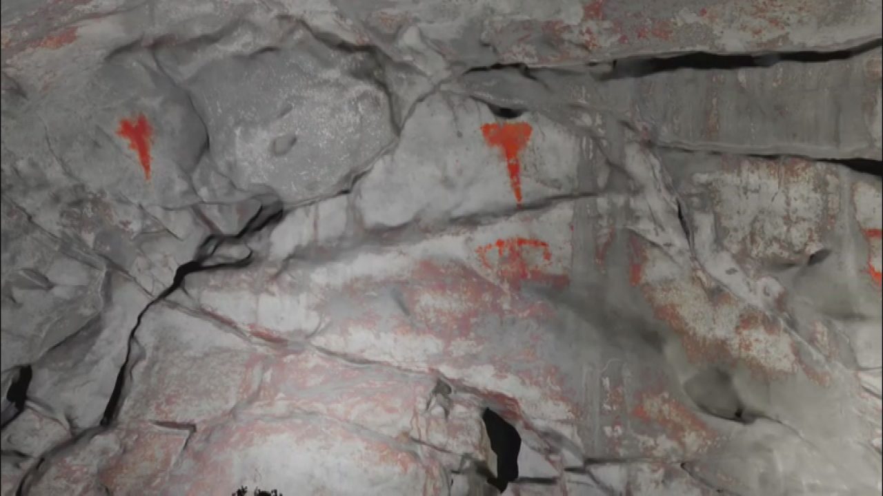 Erlapiku aztarnategian, Gamiz-Fikan, aurkitutako labar pintura bat. Bizkaiko Foru Aldundia.